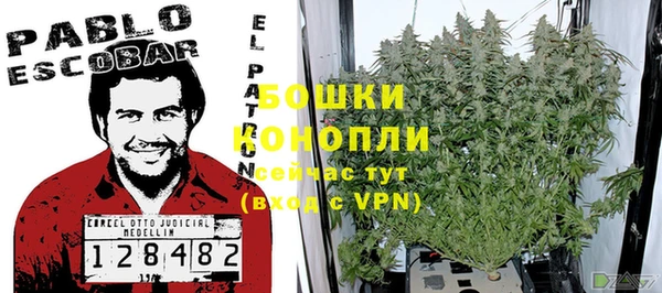 spice Ладушкин