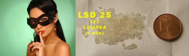 индика Лагань