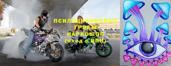 индика Лагань