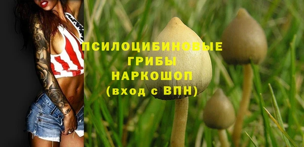 spice Ладушкин