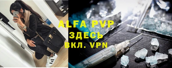 индика Лагань