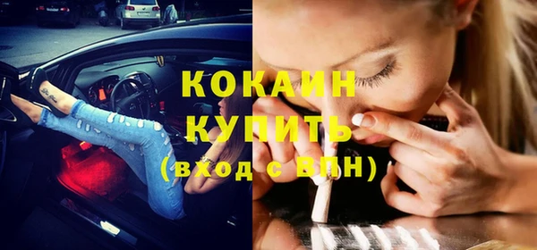 индика Лагань